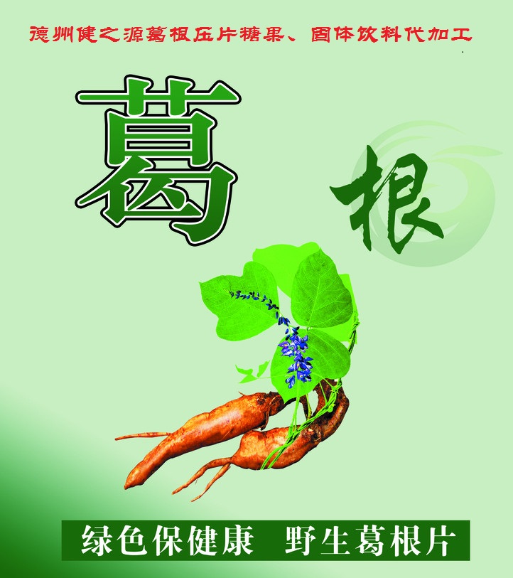 葛根，男女通用的人體調(diào)理專家